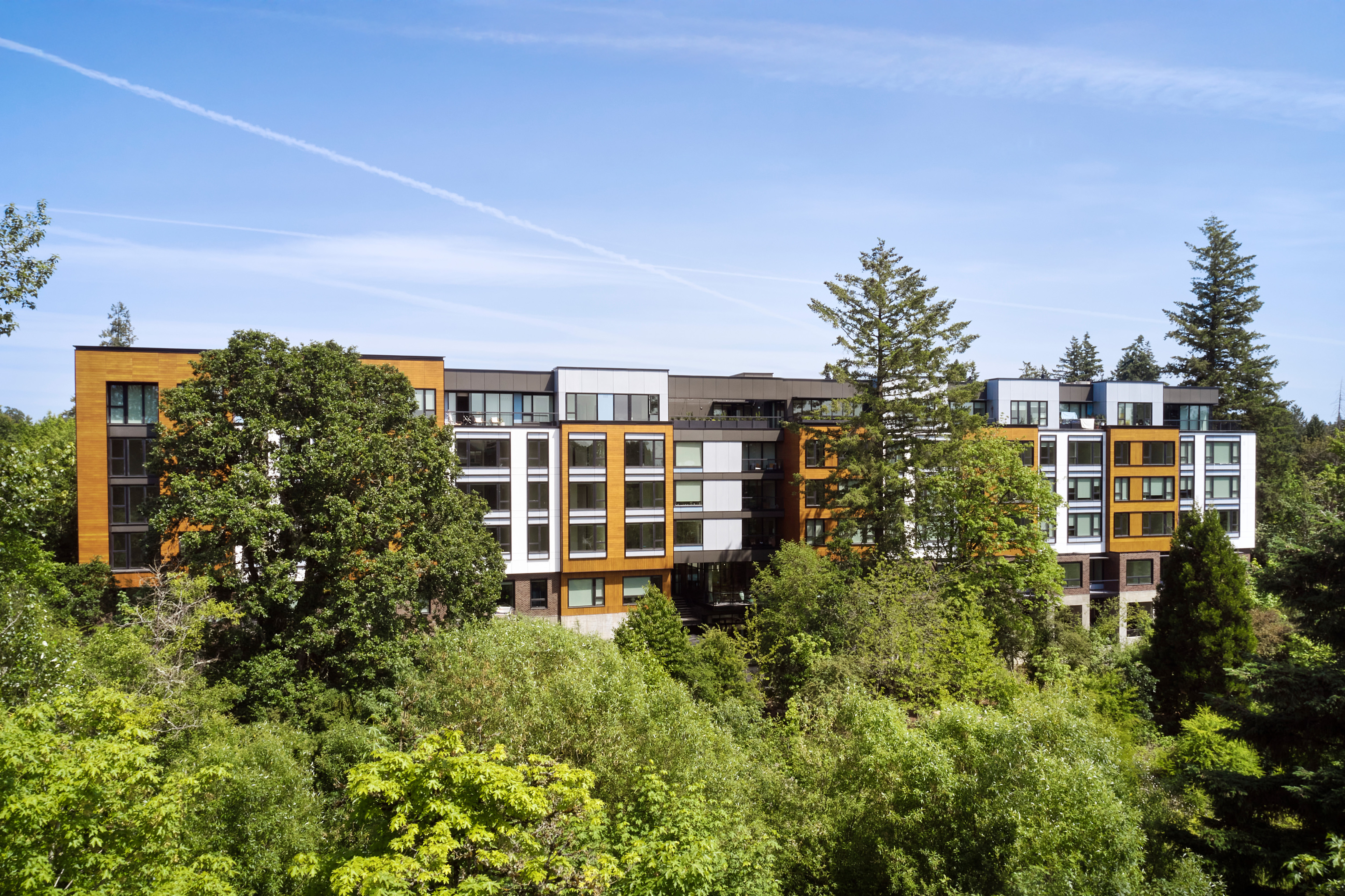 Willow Apartments